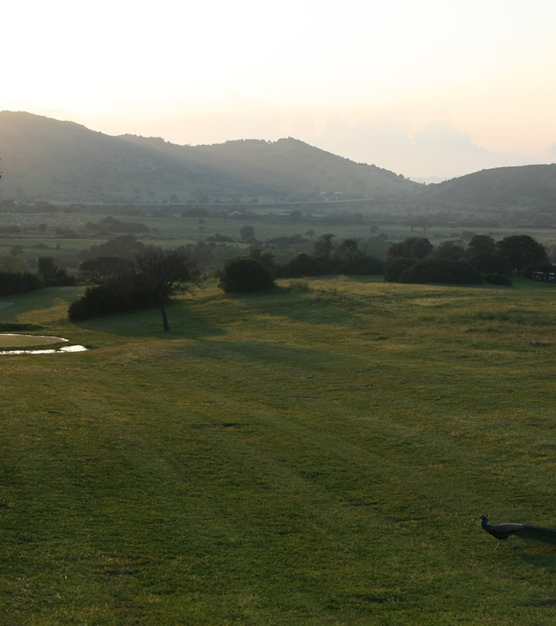 13 Hektar Park Borgo di Campagna